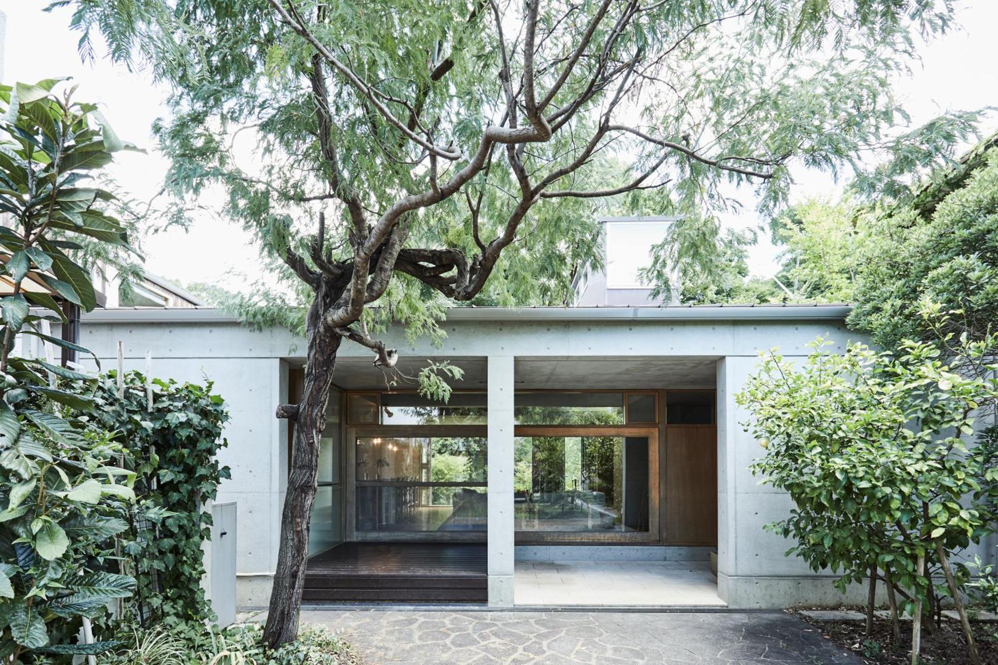 Villa Shibi *